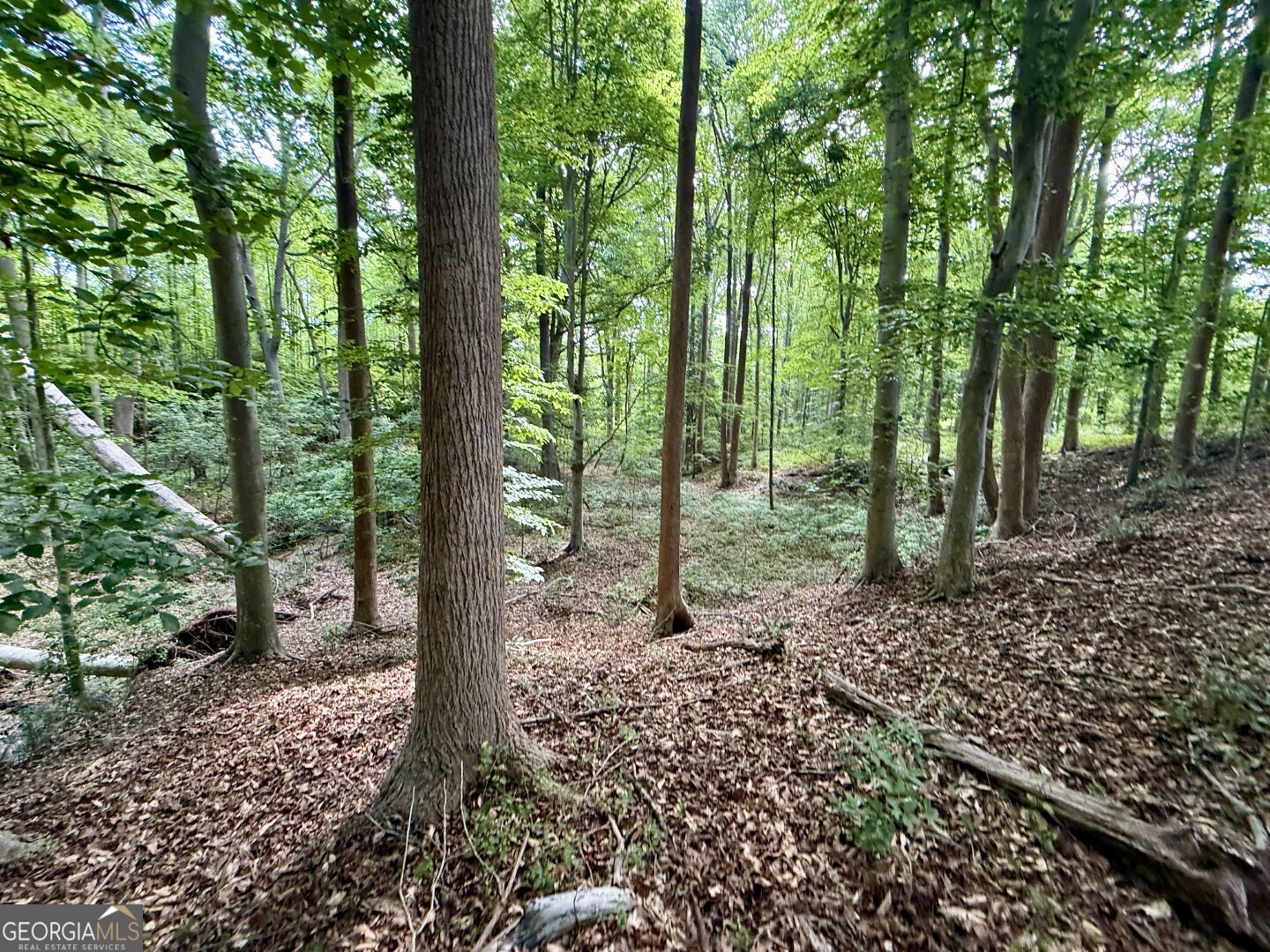 1298 Ray Weaver Road Canon, GA 30520 - Photo 34 of 40