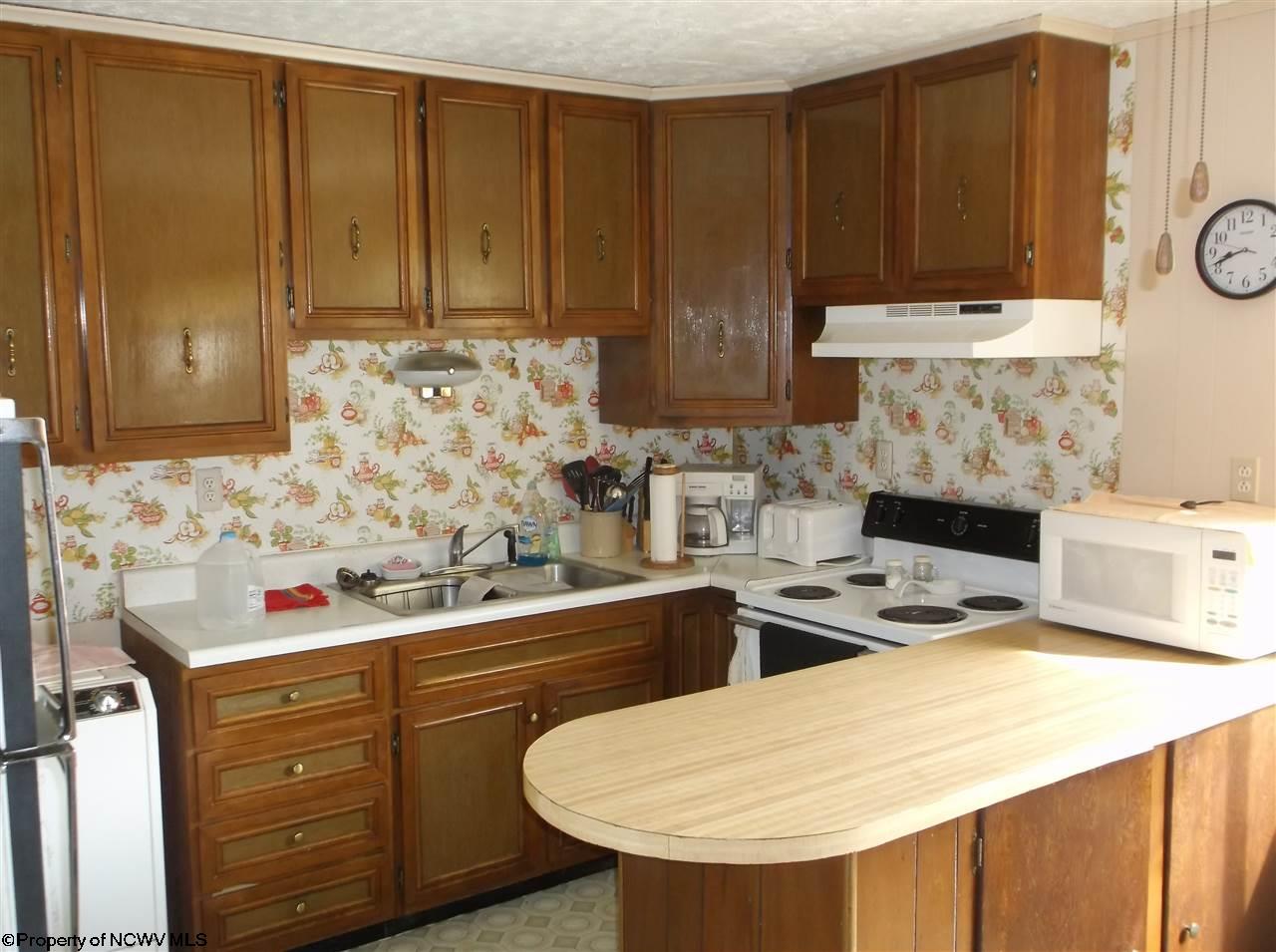 8747 Bug Ridge Road Sutton, WV 26601 - Photo 9 of 11 Gallery Image 9
