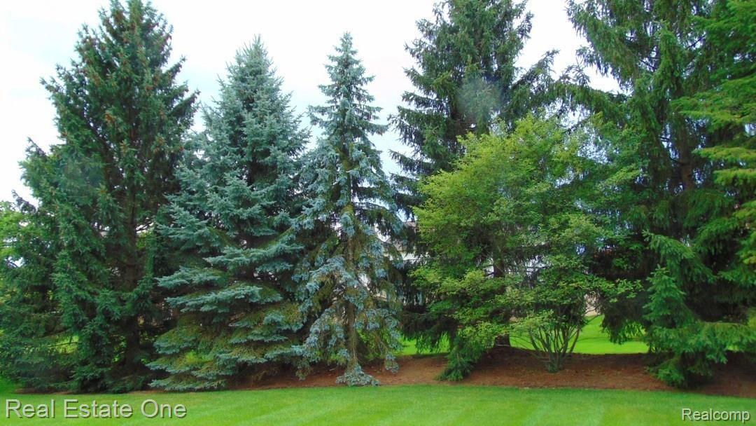 2407 Pleasant View Drive Rochester, MI 48306 - Photo 39 of 44 backyard.beauty