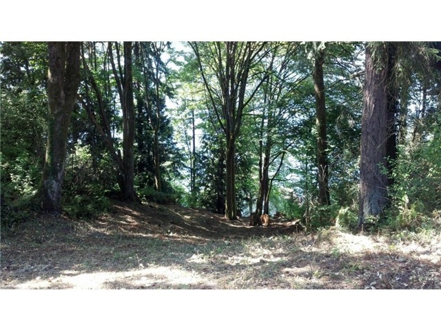 163-xx Inglewood Road Northeast Kenmore, WA 98028 - Photo 4 of 5 a view of a backyard