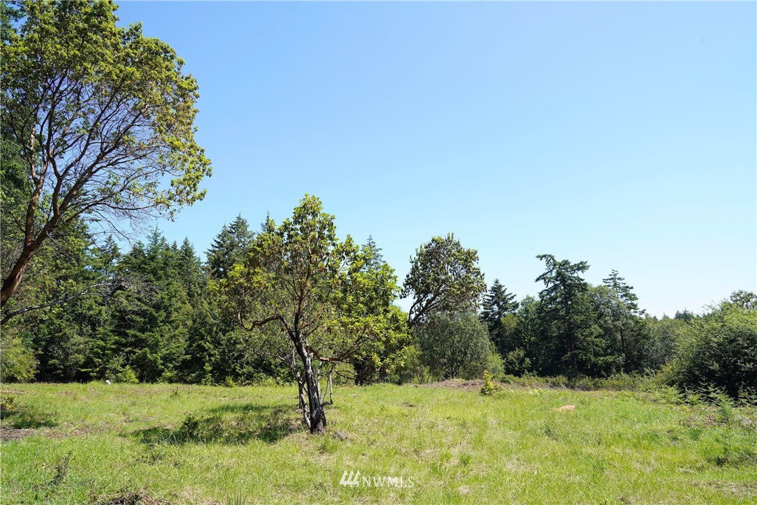 16 North Jacob Miller Rd Port Port Townsend, WA 98368 - Photo 1 of 14 Gallery Image 1