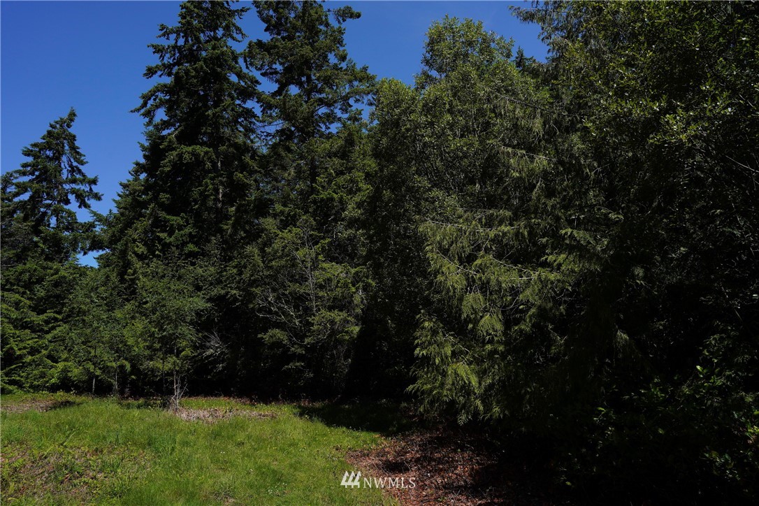 16 North Jacob Miller Rd Port Port Townsend, WA 98368 - Photo 11 of 14 Gallery Image 11