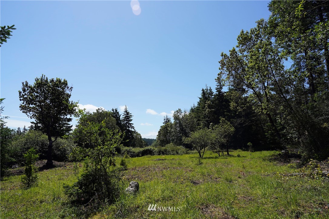 16 North Jacob Miller Rd Port Port Townsend, WA 98368 - Photo 12 of 14 Gallery Image 12