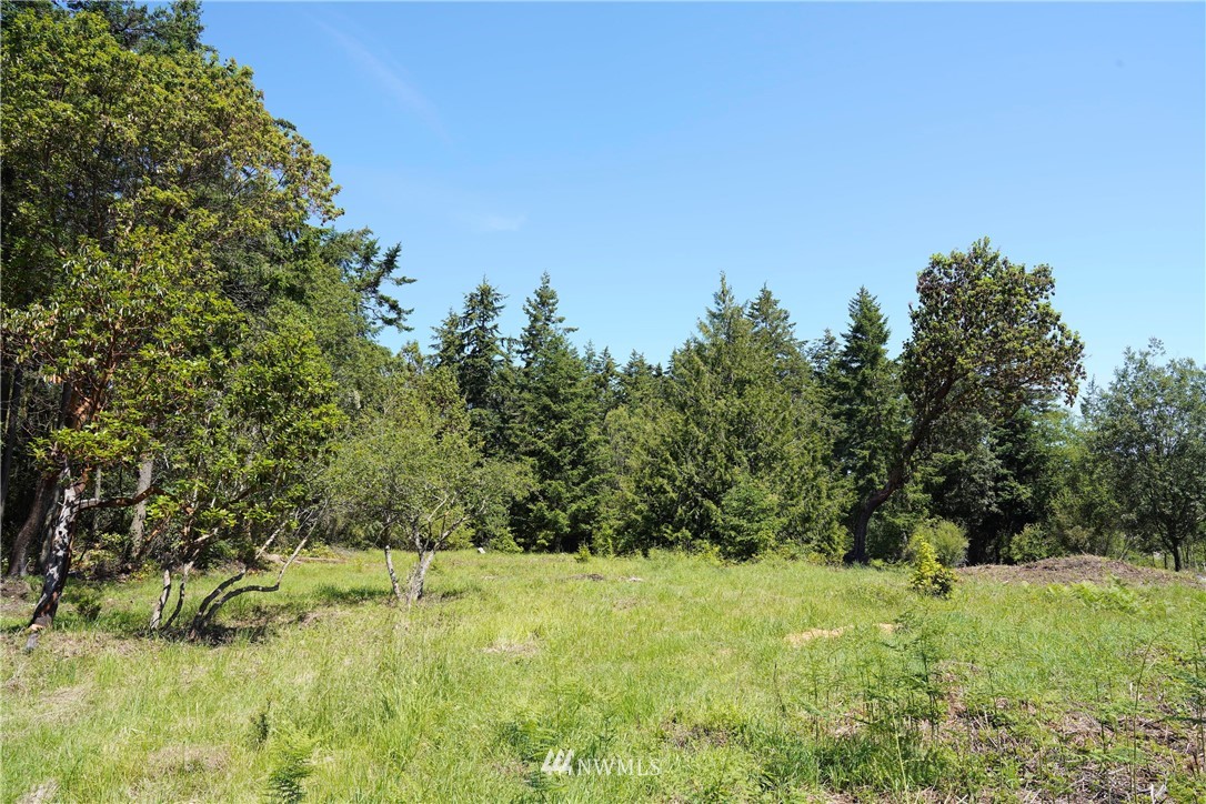 16 North Jacob Miller Rd Port Port Townsend, WA 98368 - Photo 3 of 14 Gallery Image 3