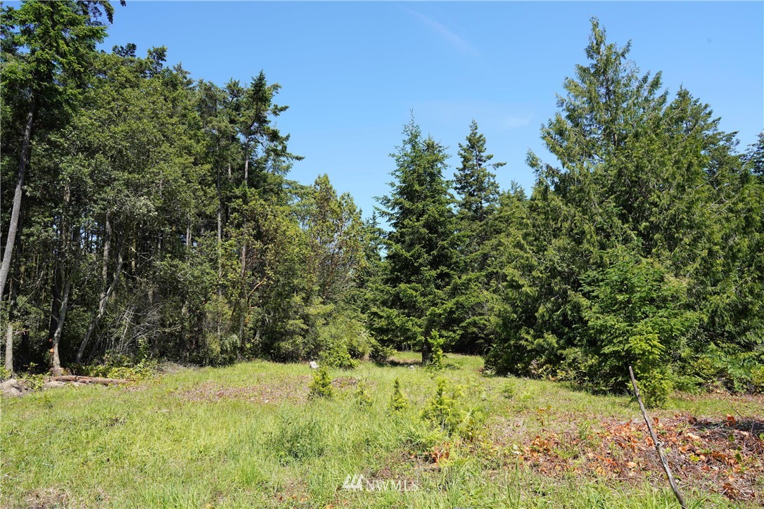 16 North Jacob Miller Rd Port Port Townsend, WA 98368 - Photo 4 of 14 Gallery Image 4