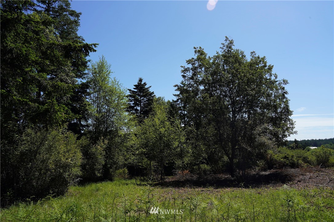 16 North Jacob Miller Rd Port Port Townsend, WA 98368 - Photo 6 of 14 Gallery Image 6