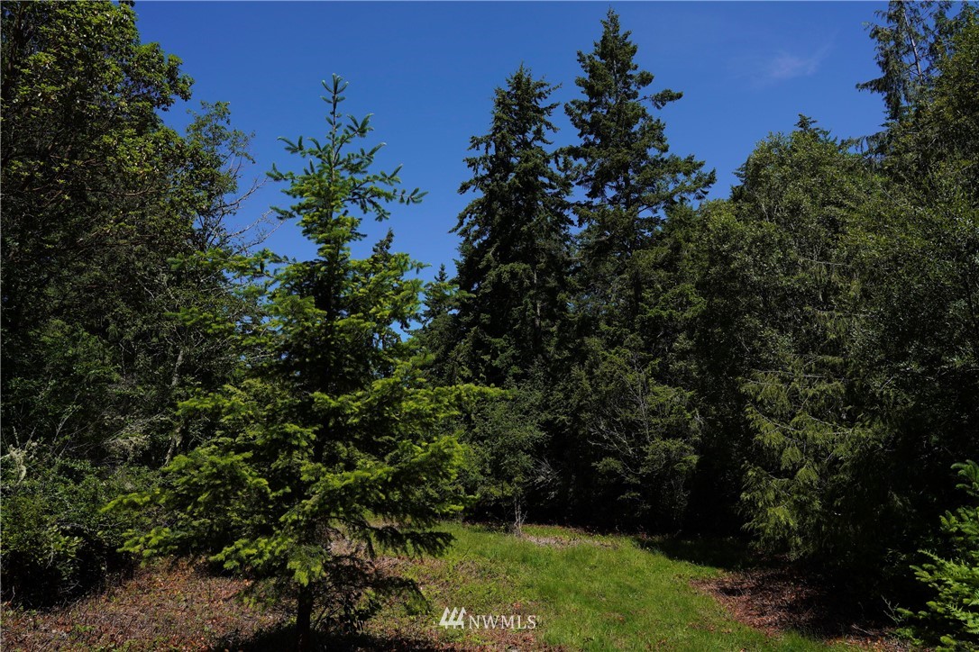 16 North Jacob Miller Rd Port Port Townsend, WA 98368 - Photo 10 of 14 Gallery Image 10