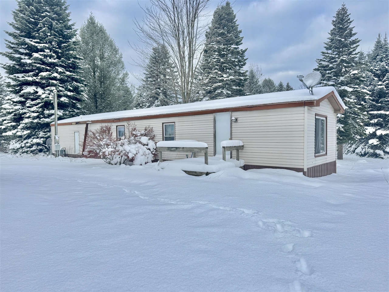9941 210th Avenue Reed City, MI 49677 - Photo 4 of 29