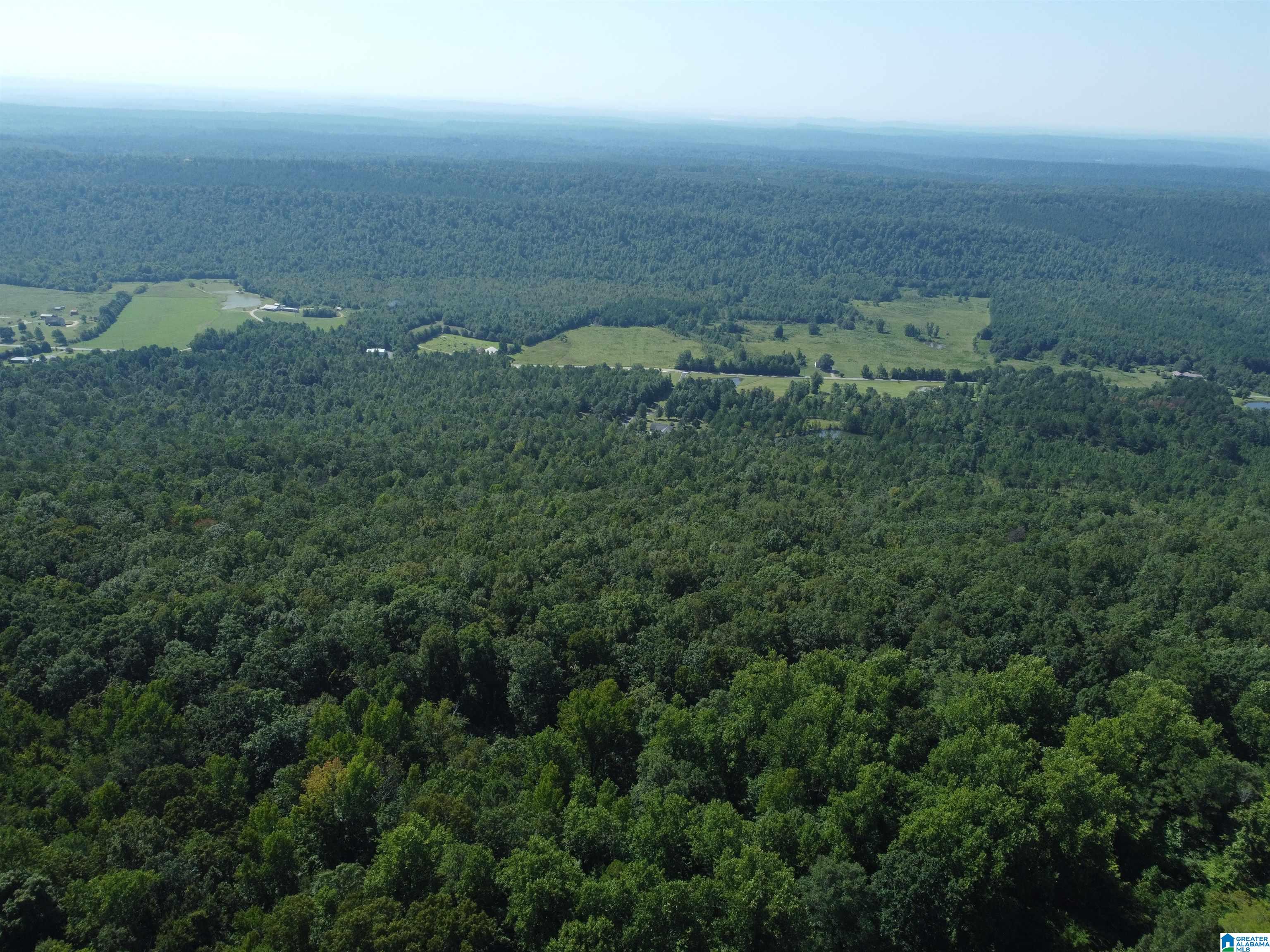 0 Beaver Mountain Road Ashville, AL 35953 - Photo 21 of 40