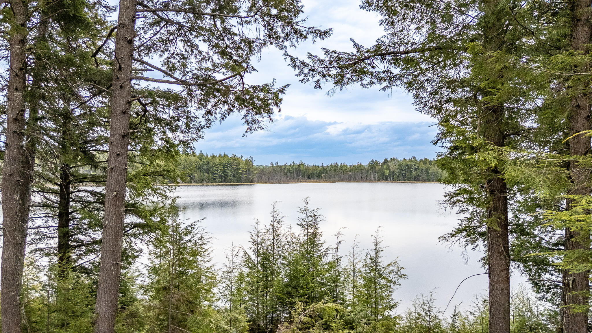 Lot A6 Jaquith Pond Road Brownville, ME 04414 - Photo 51 of 79 DJI_20260519121625_0266_D