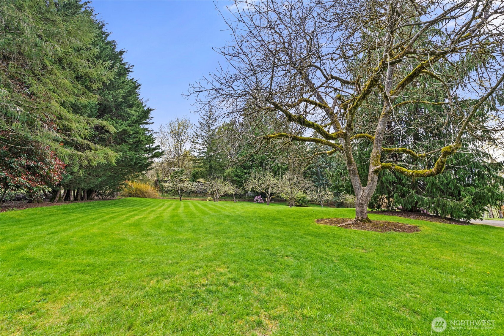 213 Bowen Road Mossyrock, WA 98564 - Photo 34 of 40
