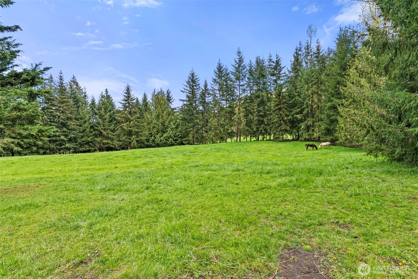 213 Bowen Road Mossyrock, WA 98564 - Photo 35 of 40