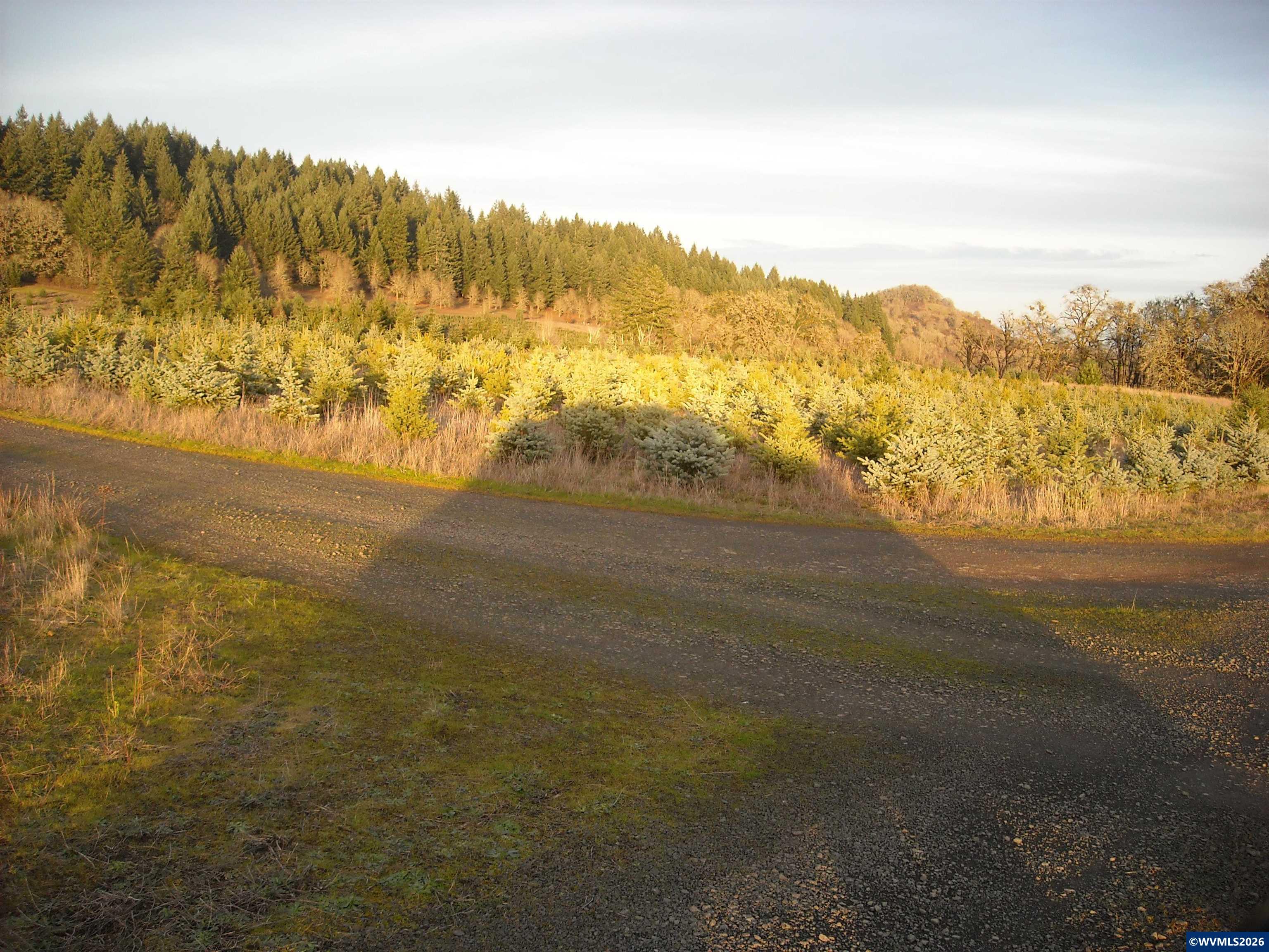 26191 Bruce Road Monroe, OR 97456 - Photo 17 of 27