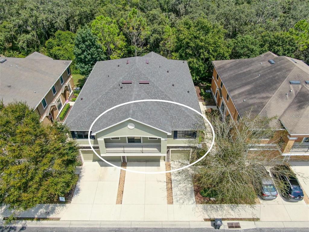 5714 Kingletsound Lithia, FL 33547 - Photo 12 of 13