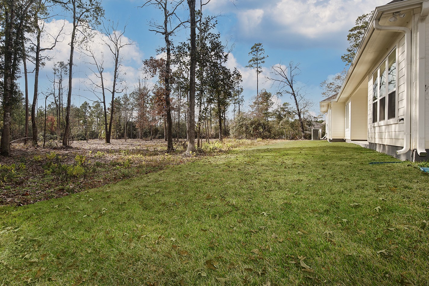 11842 Grand N Road Willis, TX 77378 - Photo 31 of 38 Unending backyard views.