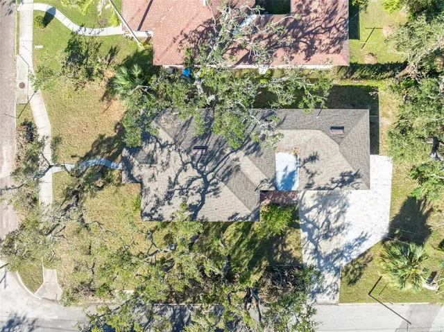 a picture of flowers