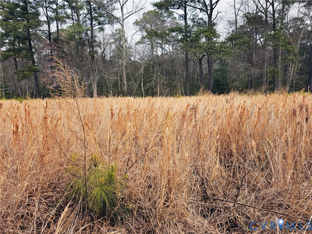 3066 Bethel Beach Road Onemo, VA 23130 - Photo 29 of 45