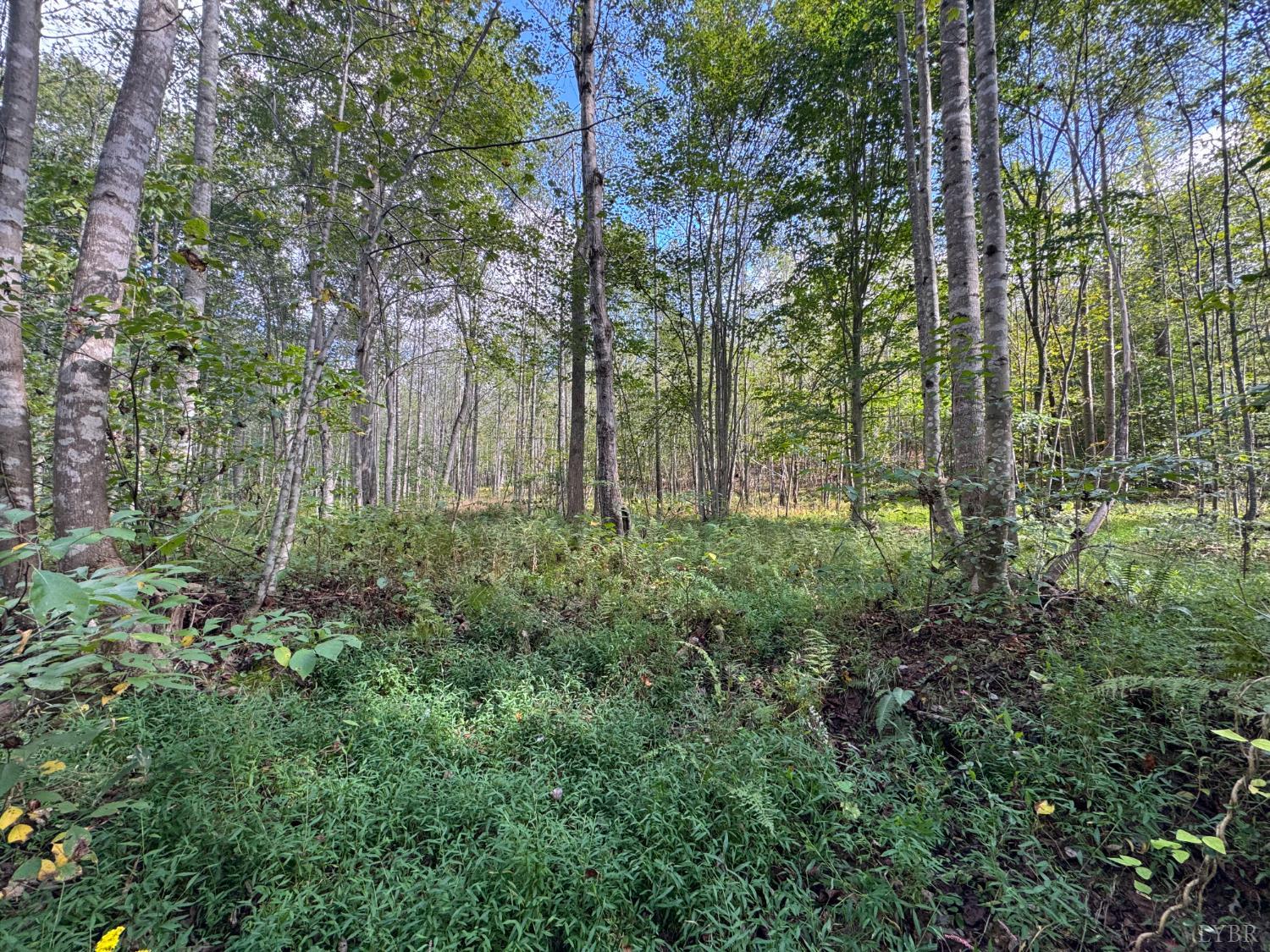 0 Mountain Ridge Lane Shipman, VA 22971 - Photo 8 of 10