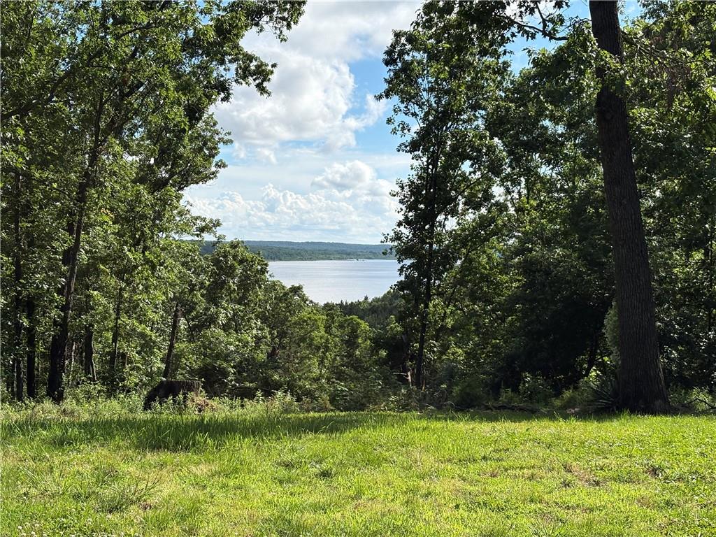 1096 Southeast 971P Road Deepwater, MO 64740 - Photo 35 of 38