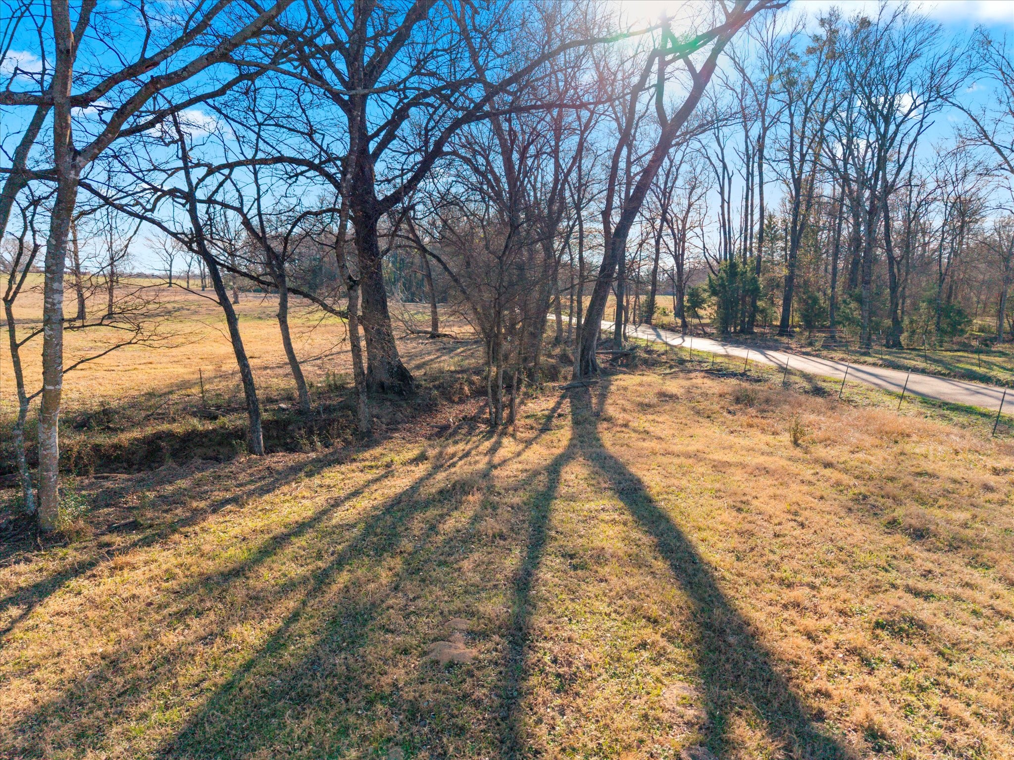 4315 County Road Omaha, TX 75571 - Photo 4 of 19