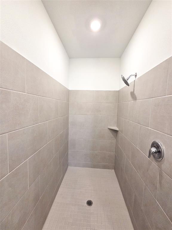 925 Calley Pear Trail Princeton, TX 75407 - Photo 16 of 24 a bathroom with a shower