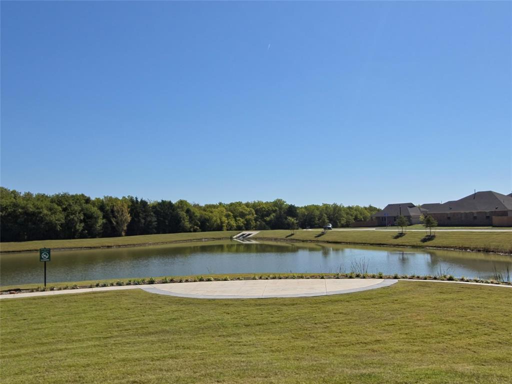 925 Calley Pear Trail Princeton, TX 75407 - Photo 18 of 24 a view of a lake with houses in background