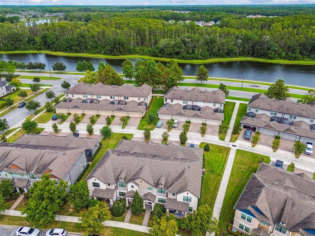 13019 Batten Lane Odessa, FL 33556 - Photo 45 of 58