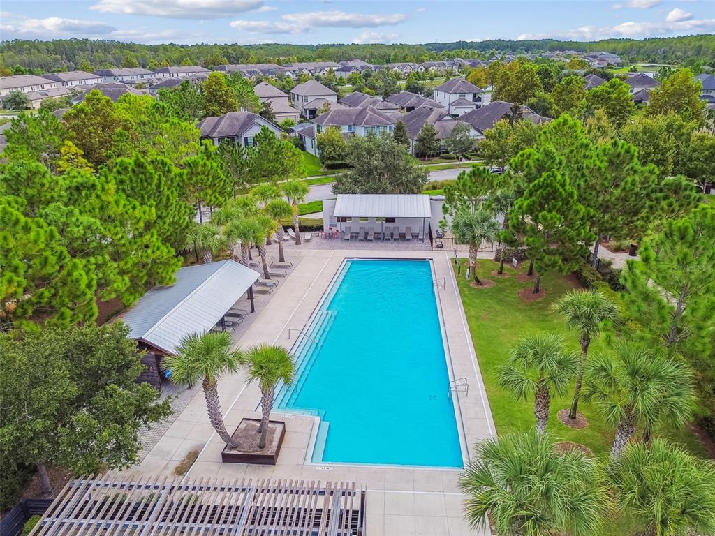 13019 Batten Lane Odessa, FL 33556 - Photo 47 of 58