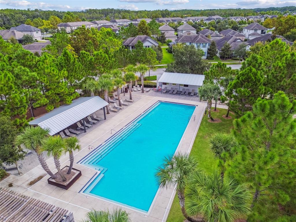 13019 Batten Lane Odessa, FL 33556 - Photo 48 of 58