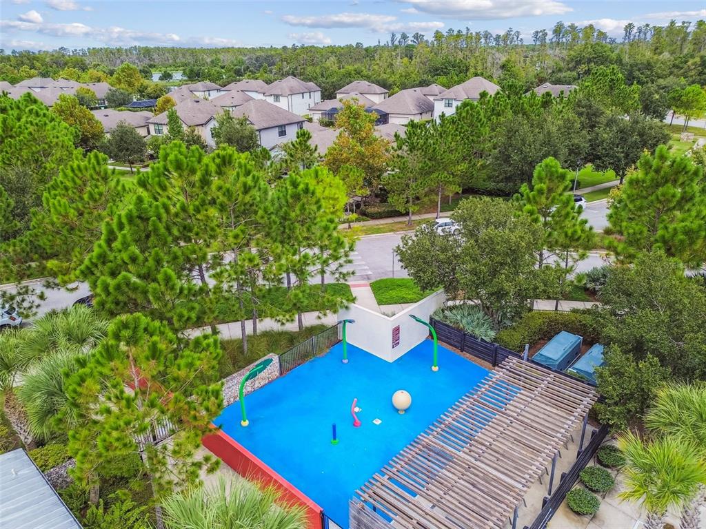 13019 Batten Lane Odessa, FL 33556 - Photo 50 of 58