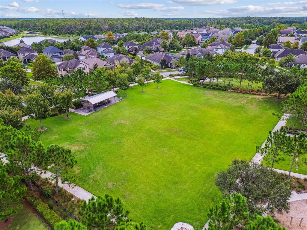 13019 Batten Lane Odessa, FL 33556 - Photo 52 of 58