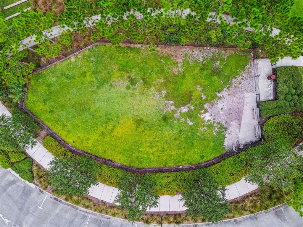 13019 Batten Lane Odessa, FL 33556 - Photo 58 of 58