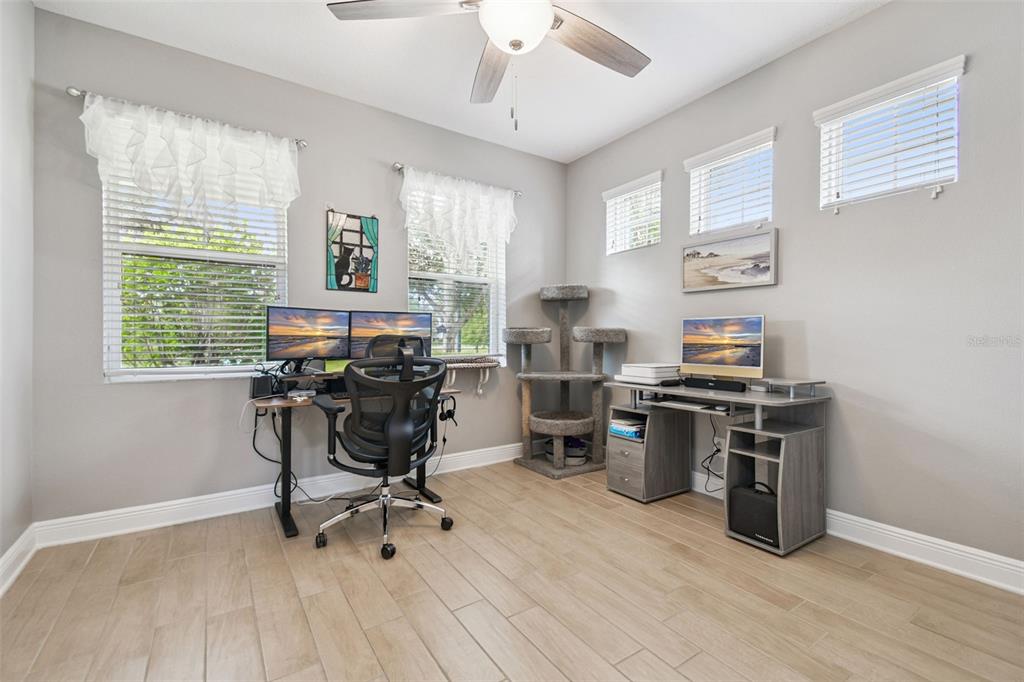 13019 Batten Lane Odessa, FL 33556 - Photo 10 of 58