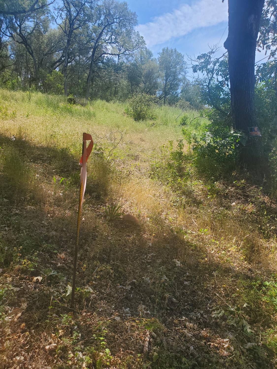 1190 Jurgens Road Rescue, CA 95672 - Photo 3 of 29 a view of a lake view