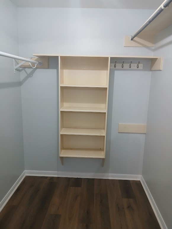 13523 La Concha Lane Houston, TX 77083 - Photo 22 of 44 Master Bathroom closet