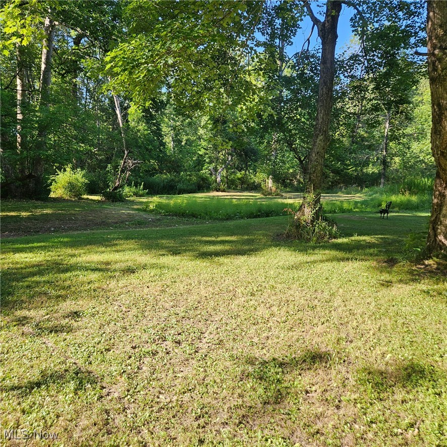 13610 Sperry Road Novelty, OH 44072 - Photo 40 of 42 View of grassy yard