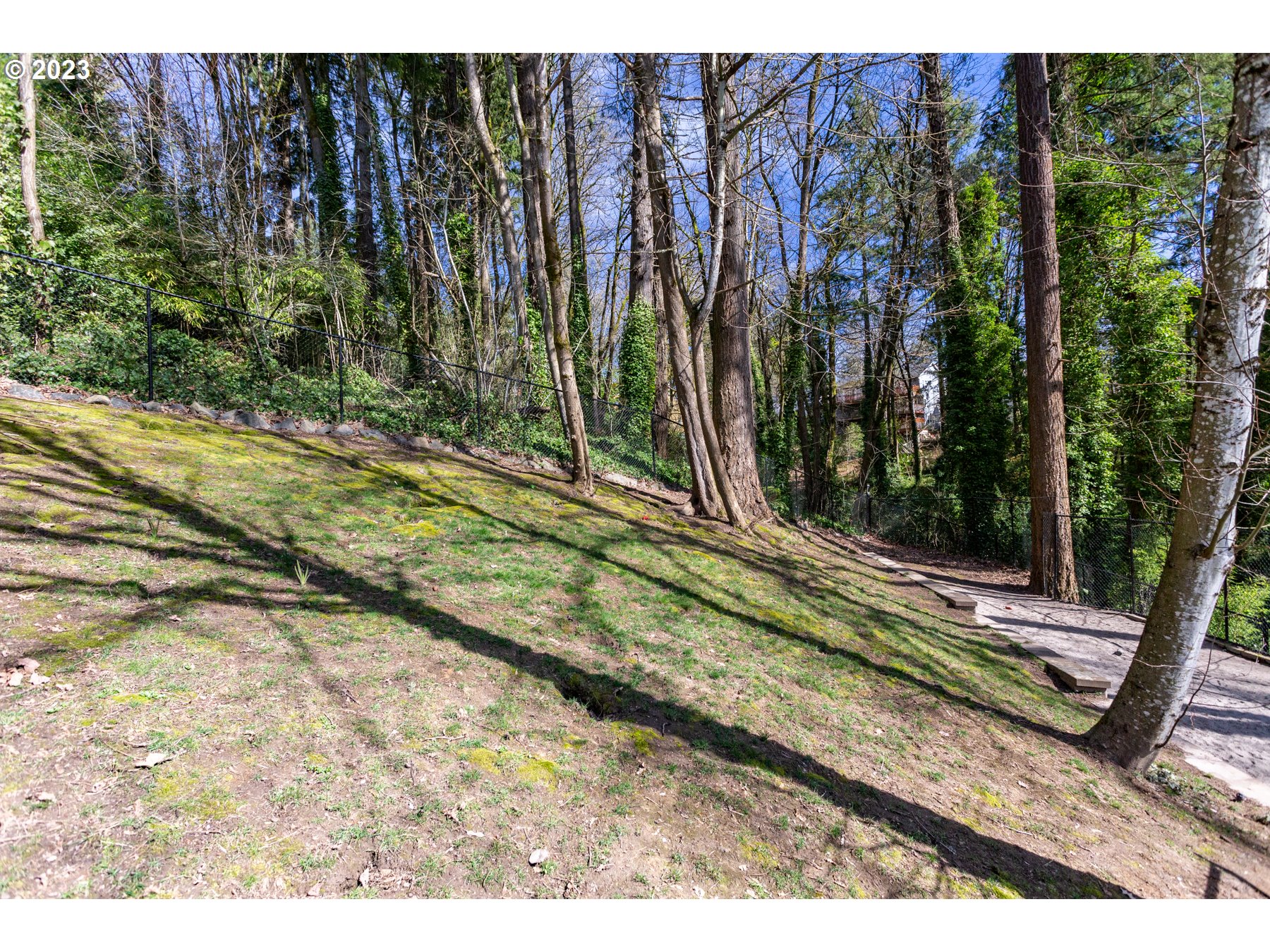 731 Southwest Bancroft Terrace Portland, OR 97239 - Photo 42 of 46 a view of a backyard with trees