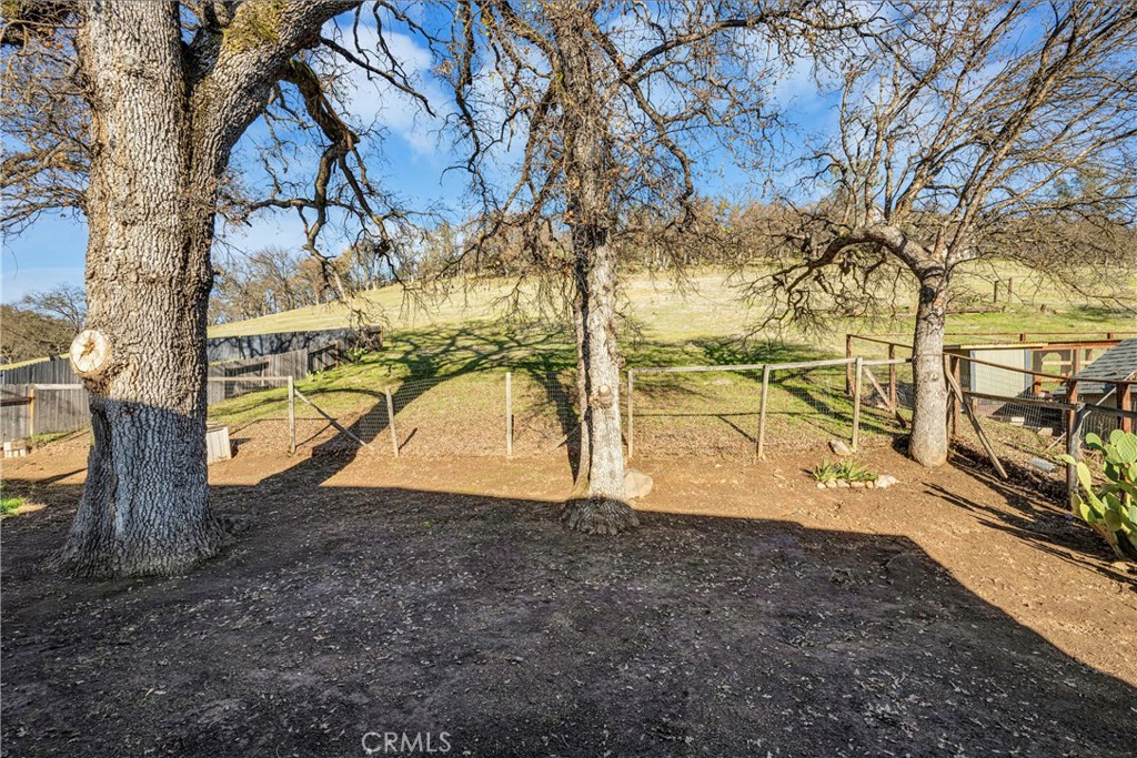 18230 Hidden Valley Road Hidden Valley Lake, CA 95467 - Photo 21 of 22 a view of a yard with an tree