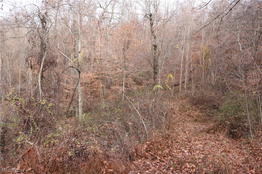 Wolf Rd Port Port Washington, OH 43837 - Photo 10 of 21 Gallery Image 10