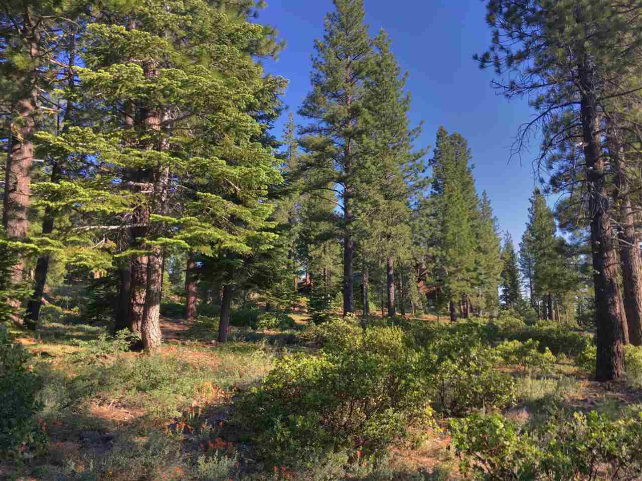 1743 Grouse Ridge Road Truckee, CA 96161 - Photo 5 of 12