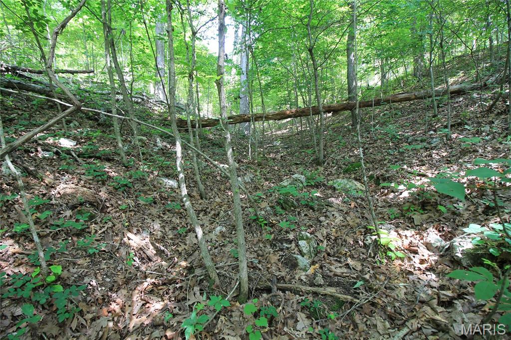 0 Gibson Road Lonedell, MO 63060 - Photo 16 of 28