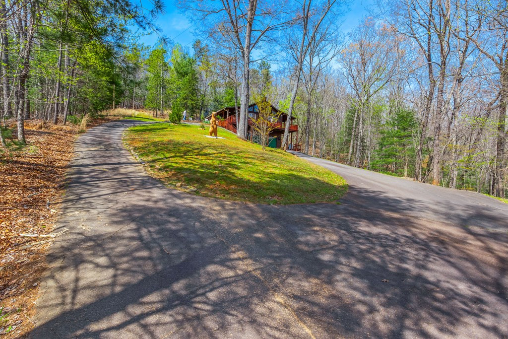 138 Wolf Print Ridge Murphy, NC 28906 - Photo 2 of 60