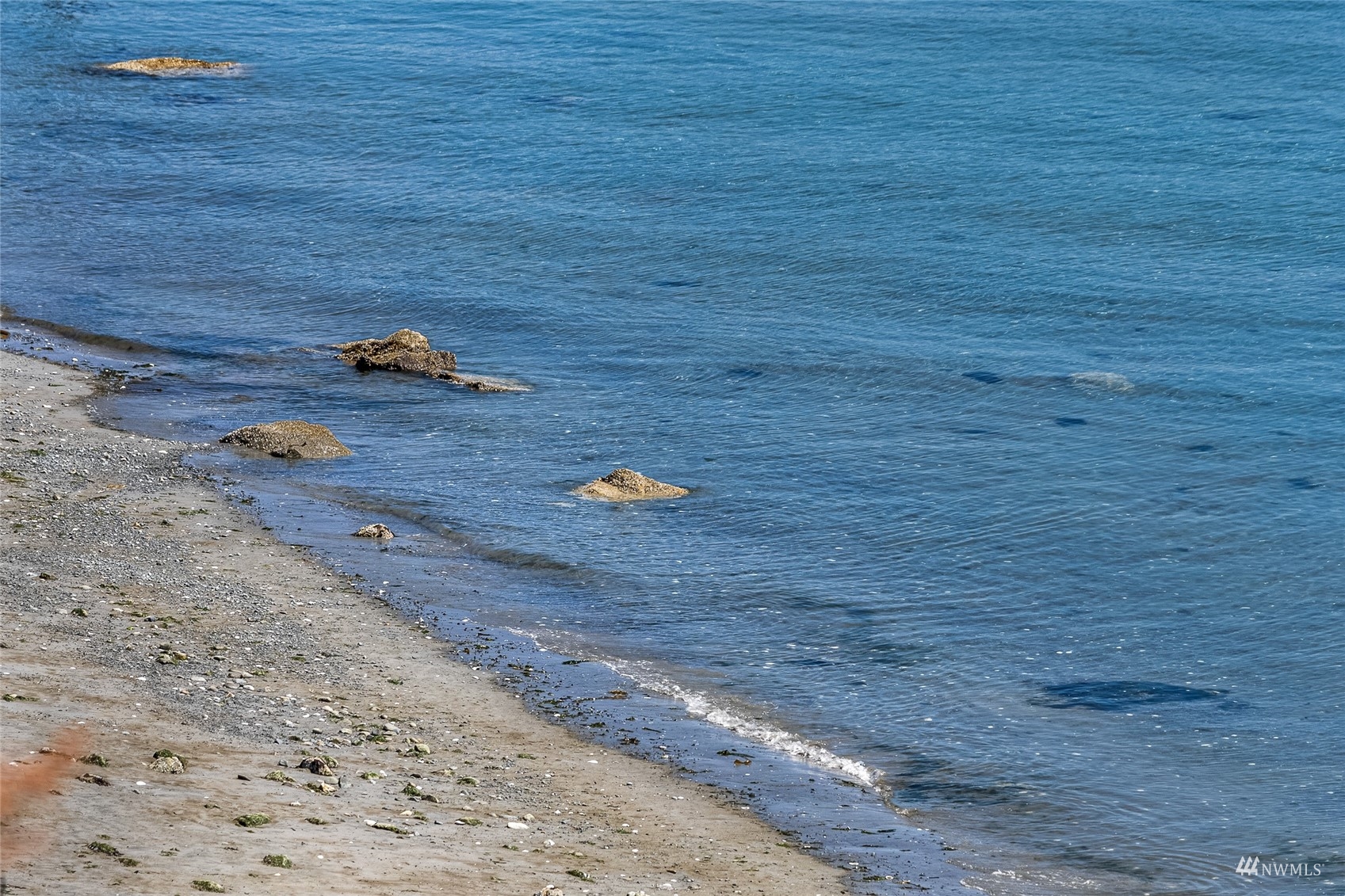 3209 Pear Point Road Friday Harbor, WA 98250 - Photo 3 of 40 a view of a backyard
