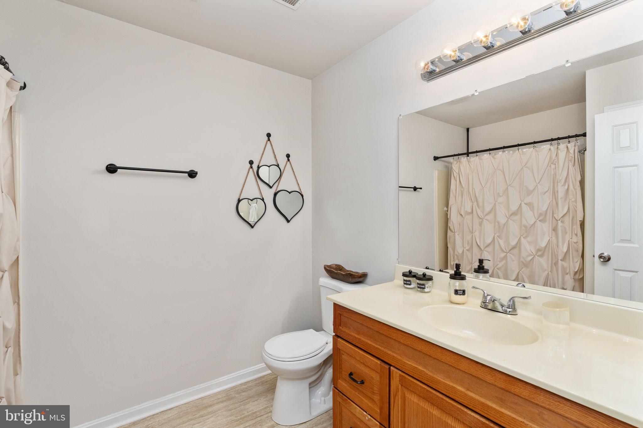 29315 Sparta Road Milford, VA 22514 - Photo 15 of 28 a bathroom with a sink a toilet and a mirror