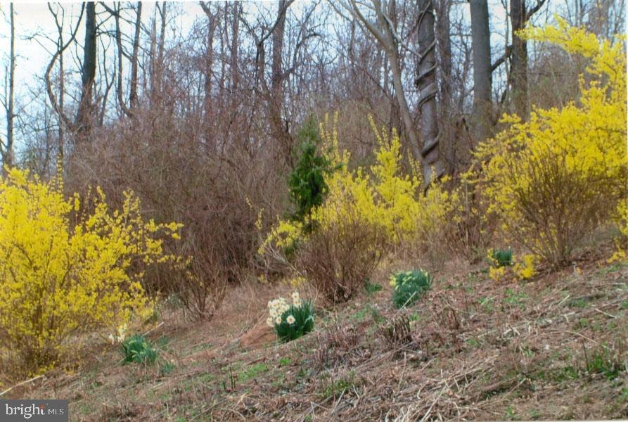 299 Mountain Road Boyertown, PA 19512 - Photo 21 of 35 Gallery Image 21