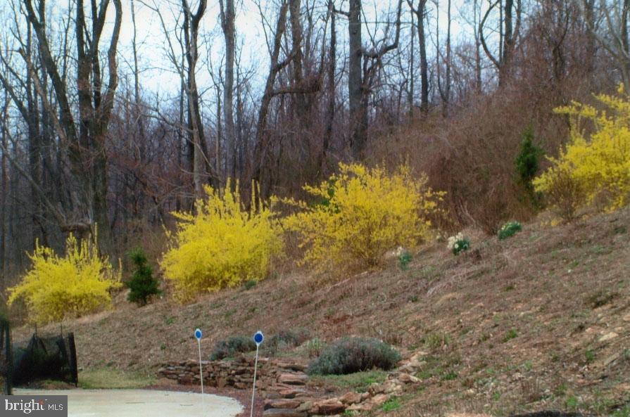 299 Mountain Road Boyertown, PA 19512 - Photo 22 of 35 Gallery Image 22