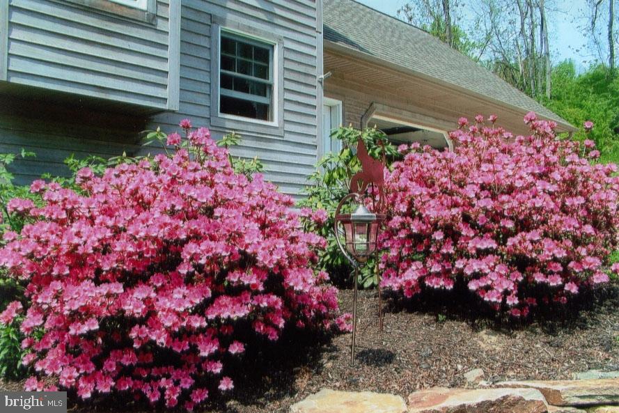 299 Mountain Road Boyertown, PA 19512 - Photo 24 of 35 Gallery Image 24