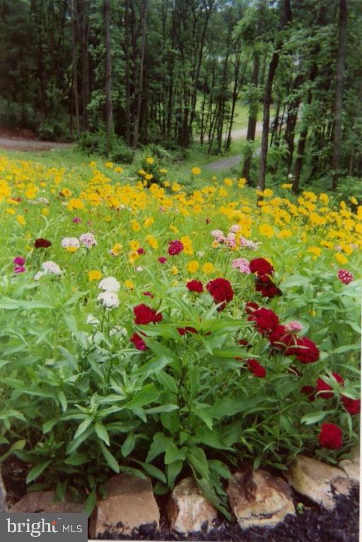 299 Mountain Road Boyertown, PA 19512 - Photo 26 of 35 Gallery Image 26