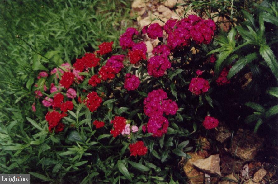 299 Mountain Road Boyertown, PA 19512 - Photo 27 of 35 Gallery Image 27