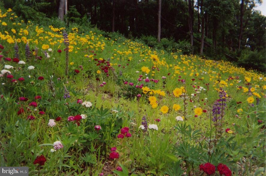 299 Mountain Road Boyertown, PA 19512 - Photo 28 of 35 Gallery Image 28